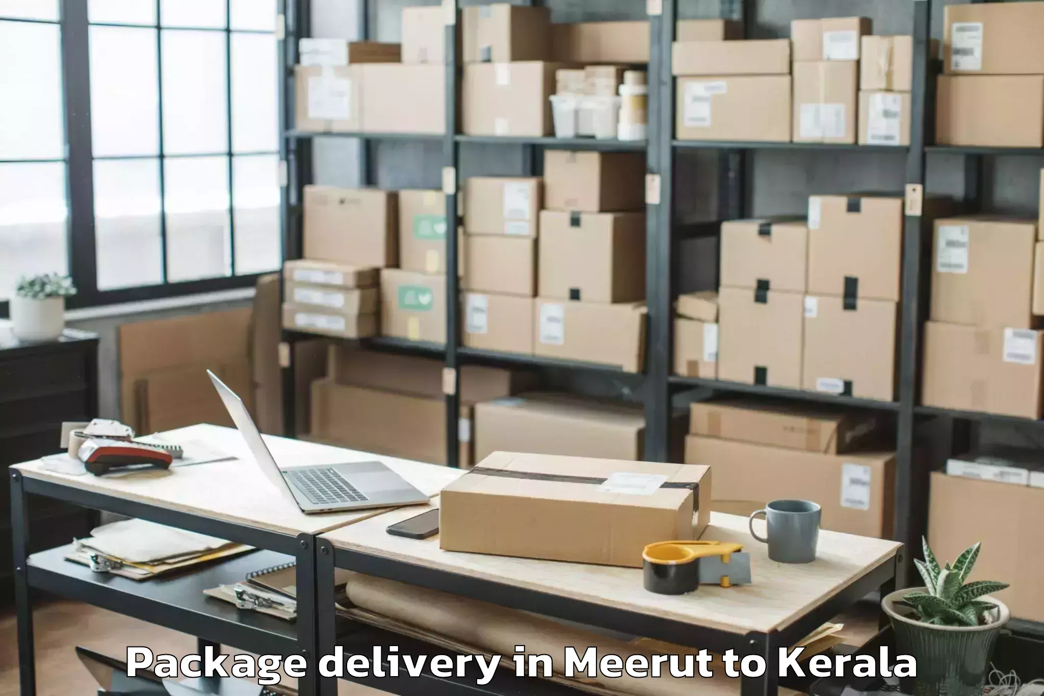 Professional Meerut to Panthalam Package Delivery